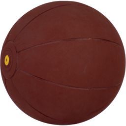 WV Medizinball