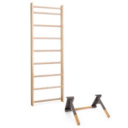 Sport-Thieme Sprossenwand mit Klimmzug-Dip-Stange