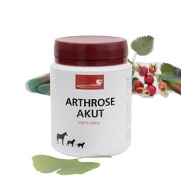 HerzensTier Arthrose akut für Hunde, Katzen & Pferde