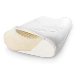 ELONEO Kissenbezug mit Reißverschluss, waschbar bis 30°C, Aloe Vera Bezug