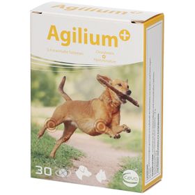 Agilium+