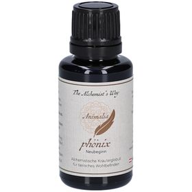 The Alchemist`s Way phönix – Neubeginn