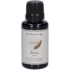 The Alchemist`s Way horus - Schutz