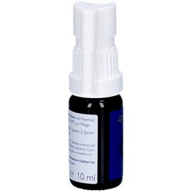 4Protection ORL Nasen-, Mund- und Ohrenspray