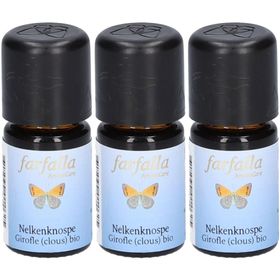 farfalla Ätherisches Öl Nelkenknospe