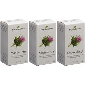PHYTOPHARMA Chardon marie