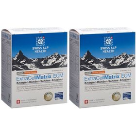 EXTRA CELL Matrix ECM Knorpel Orange