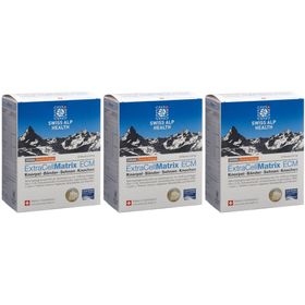 EXTRA CELL Matrix ECM Knorpel Orange