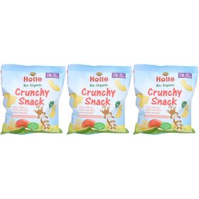 Holle Bio Kinder Knuspersnack Hirse-Mango