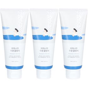 Round Lab Birch Juice Moisturizing Cleanser