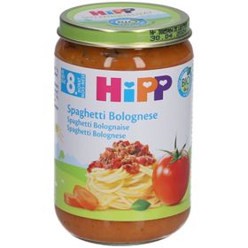 HIPP Kleiner Topf Spaghetti Bolognese bio nach 8 Monaten