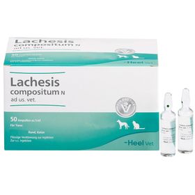 Lachesis compositum N ad us. vet. Ampullen