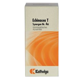 Synergon 4 a Echinacea T Tabl.