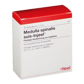 Medulla spinalis suis-Injeel® Ampullen
