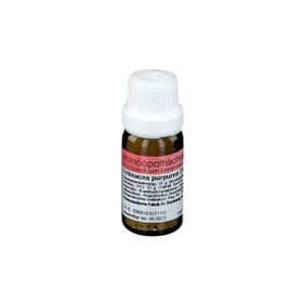 Echinacea purpurea D12 Globuli