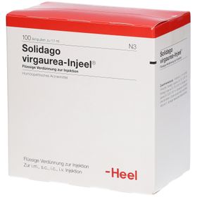 Solidago virgaurea-Injeel® Ampullen