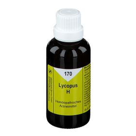 Lycopus H 170 Tropfen