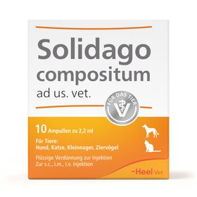 Solidago compositum ad us. vet. Ampullen