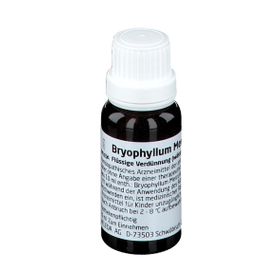 Bryophyllum Mercurio Cultum Rh D3 Dilution
