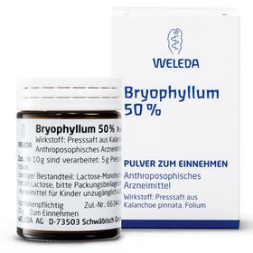 Bryophyllum 50% Trituration