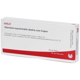 WALA® Glandula Supraren. Dextra c.Cupro coll. Amp.