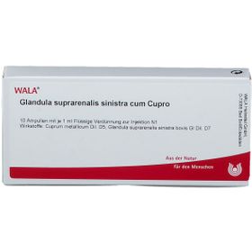 WALA® Glandula Supraren. Sinis. cum Cupro Amp.