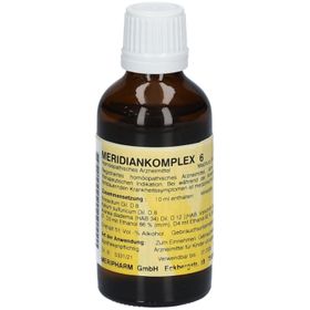 Meridiankomplex 6