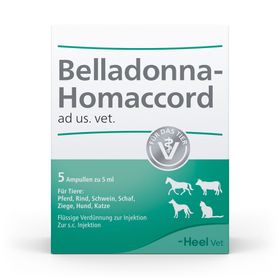 Belladonna-Homaccord® ad us. vet. Ampullen