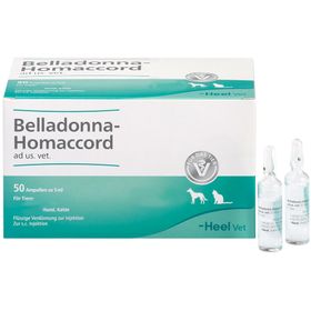 Belladonna-Homaccord® ad us. vet. Ampullen