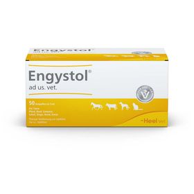 Engystol® ad us. vet. Ampullen