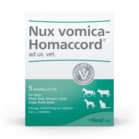 Nux vomica-Homaccord® ad.us.vet. Ampullen