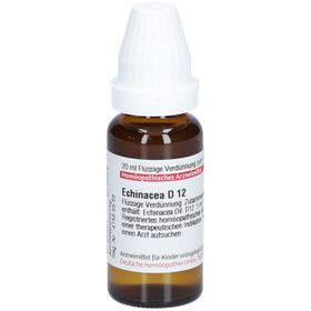 DHU Echinacea D12