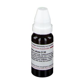 DHU Lobelia Inflata D30