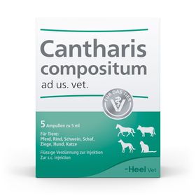 Cantharis compositum ad us. vet.