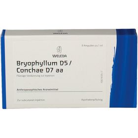 Bryophyllum D5 / Conchae D7