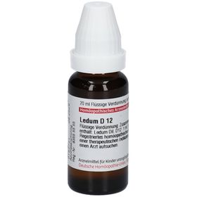 DHU Ledum D12