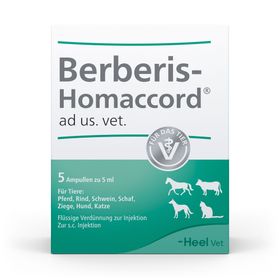 Berberis-Homaccord® ad us. vet. Ampullen