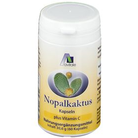 Avitale Nopal-Kaktus