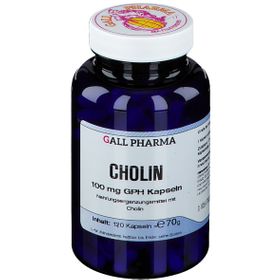 GALL PHARMA Cholin 100 mg GPH Kapseln