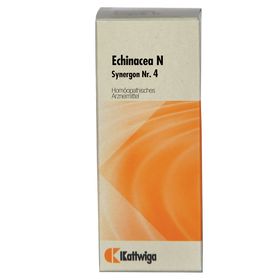 SYNERGON 4 Echinacea N Tropfen