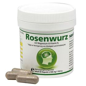 Rosenwurz Rhodiola rosea Extrakt