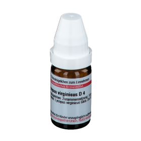 DHU Lyopus Virginicus D4