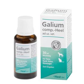 Galium comp.-Heel® ad us. vet. Tropfen