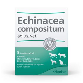 Echinacea compositum ad us. vet. Ampullen