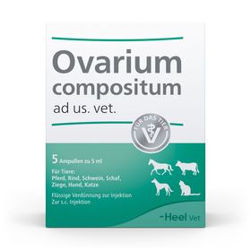 Ovarium compositum ad us. vet.