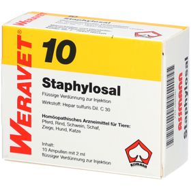 STAPHYLOSAL 10 Ampullen vet.