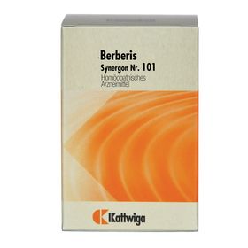 Synergon 101 Berberis Tabletten