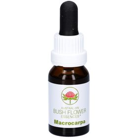 Australian Bush Flower Essences Macrocarpa – Blütenessenz