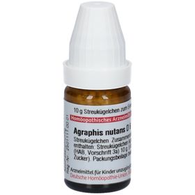 DHU Agraphis Nutans D6