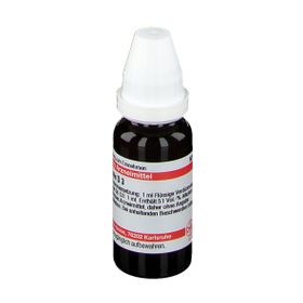 DHU Equisetum Hiemale D3